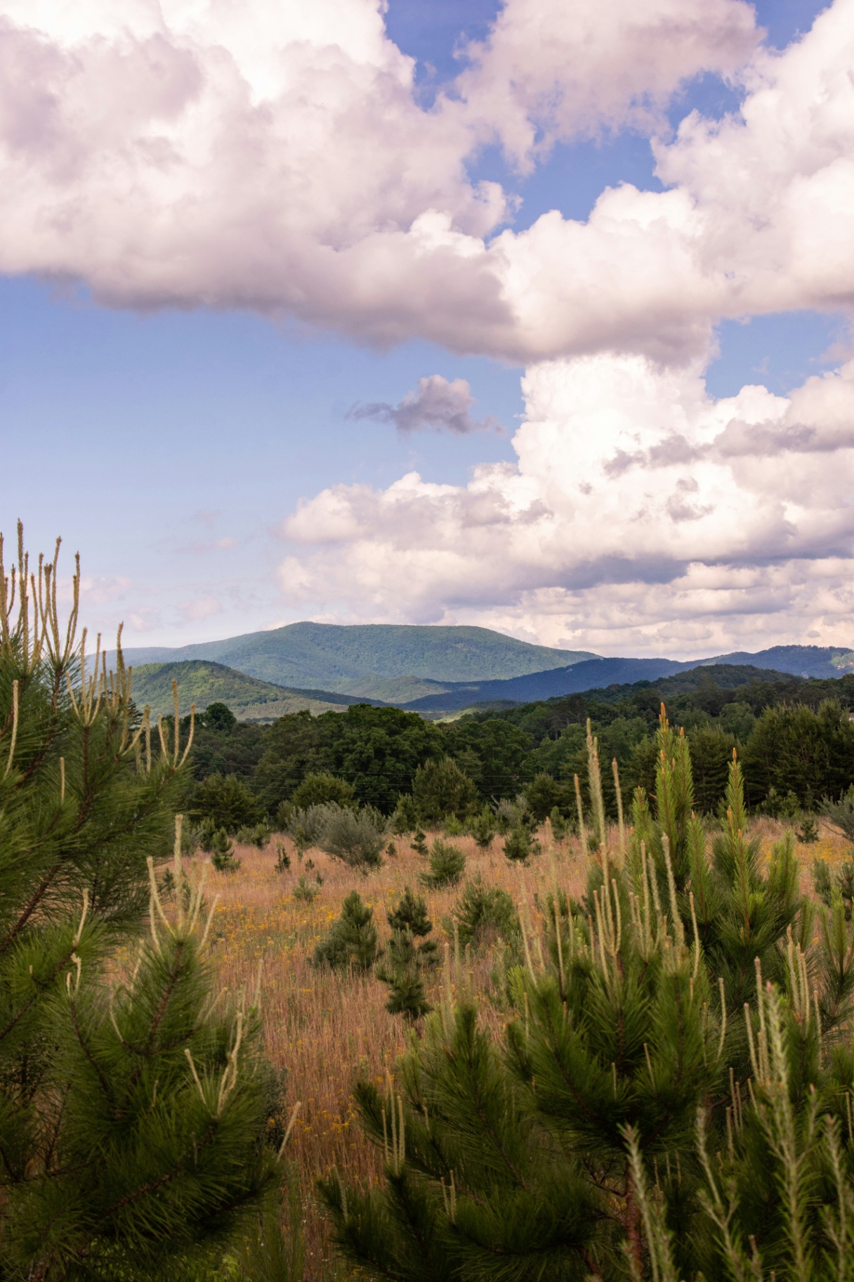 Rolling North Georgia foothills under a soft sky
