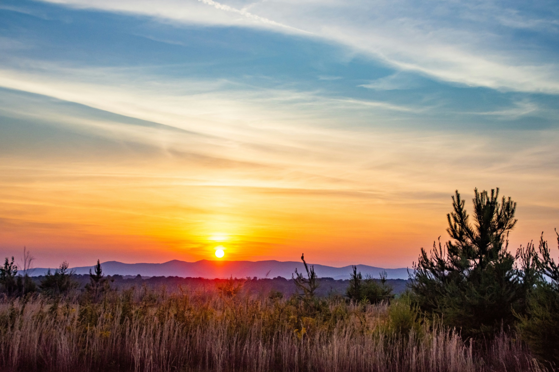 Golden sun low over a Georgia field with tall grasses and distant ridges
